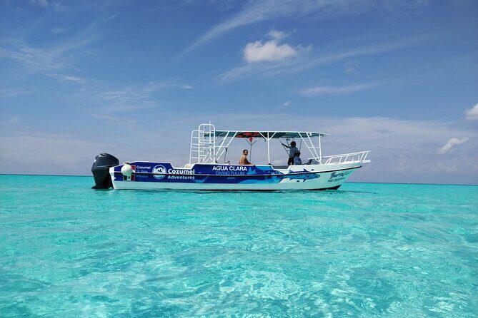 Cozumel El Cielo Sandbar and Reef Snorkeling Private Adventure - Who This Tour Is Perfect For