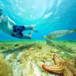 Cozumel: El Cielo Snorkel, KUZÁ Beach Day Pass, Buffet & Open Bar - Who Will Love This Tour?