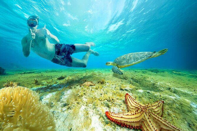 Cozumel: El Cielo Snorkel, KUZÁ Beach Day Pass, Buffet & Open Bar - Who Will Love This Tour?