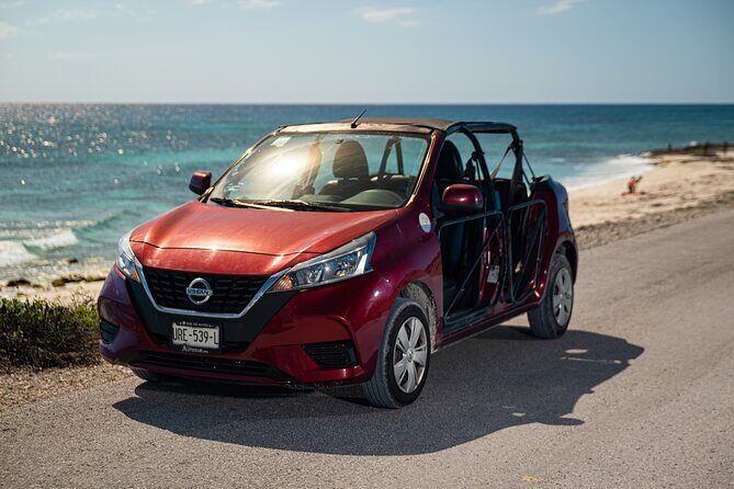 Cozumel Island Buggy and ATV Adventure with Snorkeling - Key Points