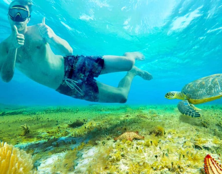 Cozumel: KUZÁ Day Pass, Buffet, Open Bar & El Cielo Snorkel - Exploring Cozumel’s Underwater Wonders and Scenic Shores
