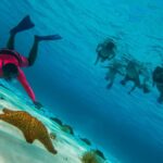 Cozumel: Palancar, Columbia and Cielo Reefs Snorkeling Tour - The Experience: Pros and Cons