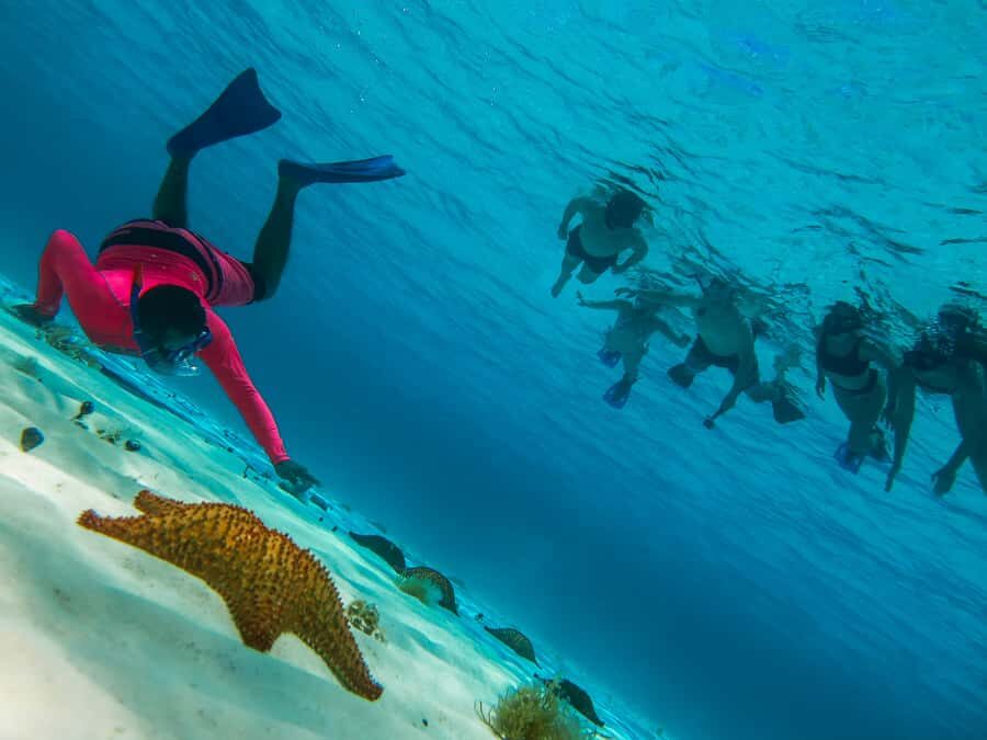 Cozumel: Palancar, Columbia and Cielo Reefs Snorkeling Tour - The Experience: Pros and Cons