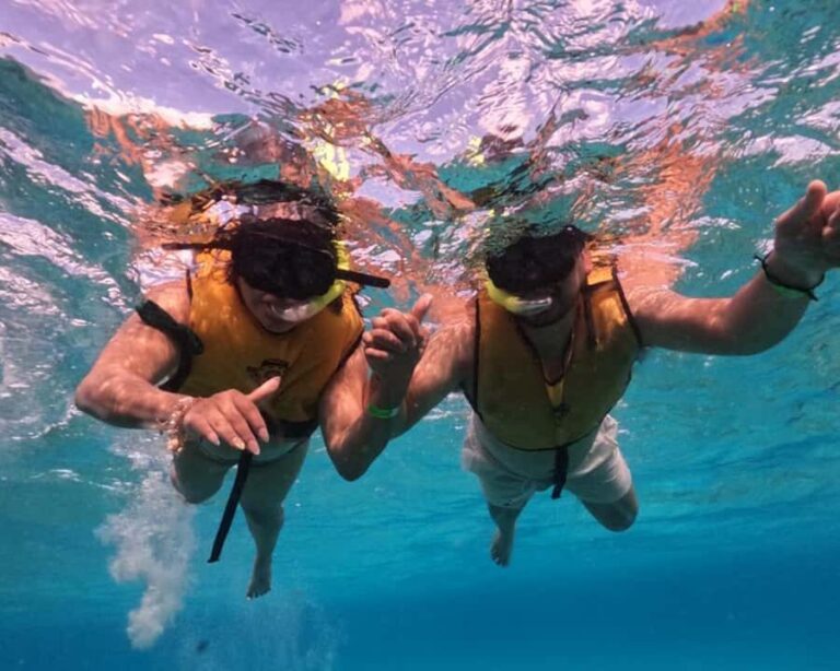 Cozumel: Private Snorkel Experience at Skyreef Beach Club - Who Should Consider This Tour?