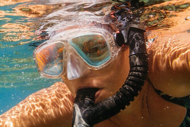 Cozumel: Private Snorkel Experience at Skyreef Beach Club - Practical Details and What to Expect