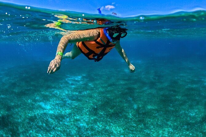 Cozumel Reef Snorkeling Tour - Who Should Consider This Tour?