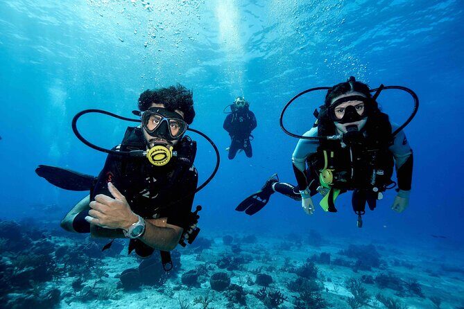Cozumel Reef Suba Diving Adventure for Certified Divers - FAQ