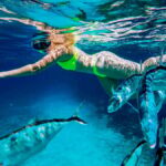 Cozumel: Starfish, Rays and El Cielo Snorkeling Experience - Who Should Consider This Tour?