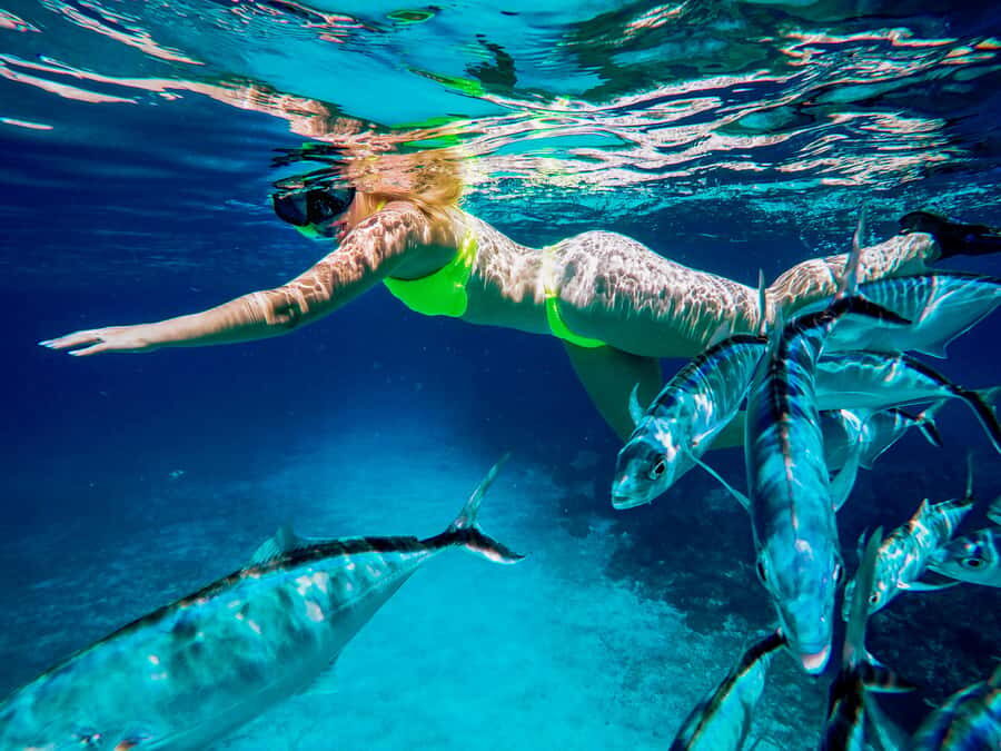 Cozumel: Starfish, Rays and El Cielo Snorkeling Experience - Who Should Consider This Tour?