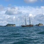 Cruising on a 100' Wooden Sail Ship in Province of Puntarenas - Navigating the Cruise: What to Expect