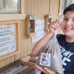 Crystal Cave Gold Adventure Tour and Dino Trail - FAQs