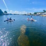 Crystal River: Clear Kayak Manatee & Springs Tour - A Detailed Look at the Experience