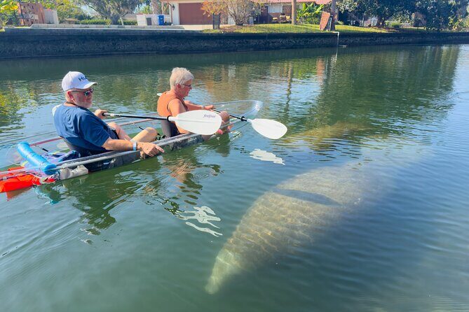 Crystal River Florida: Clear Kayak Guided Manatee Eco-Tour - Why This Tour Is a Great Choice