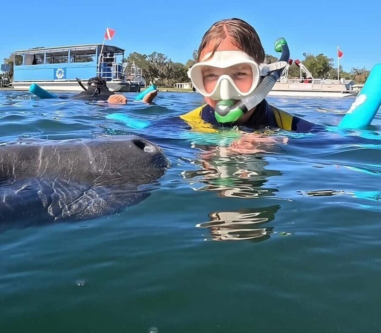 Crystal River: Guided Manatee Tour Heated Boat Free Photos - The Sum Up