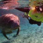 Crystal River: Manatee Swim Small Group, VIP or Private Tour - Who Will Love This Tour?