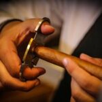 Cuban Cigar and Rum Tasting Experience - An In-Depth Look at the Tour Experience