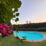 Cuernavaca: Diego Rivera and Frida Kahlo Tour - Who Would Love This Tour?