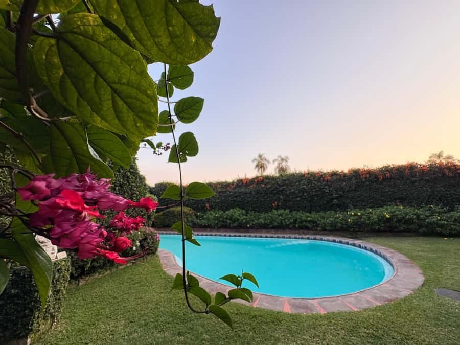 Cuernavaca: Diego Rivera and Frida Kahlo Tour - Who Would Love This Tour?