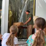 Cultural tour in Mérida's historic center - Final Thoughts