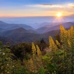 Custom Half-Day Photo Tour with Photography Lessons from Asheville - Who Should Consider This Tour?