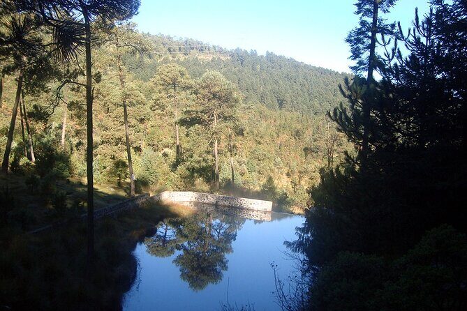 Custom Hiking in the Lions Desert - Who Will Love This Tour?