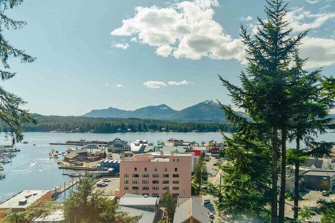 Customized Private Tour in Minibus - Analyzing the Value