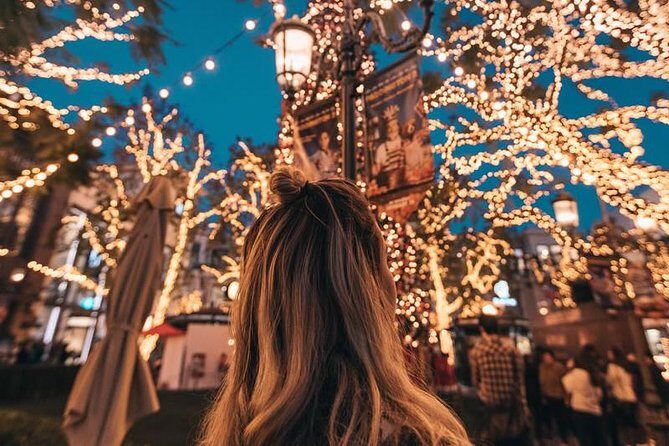 Dallas Christmas Lights Tour - Frequently Asked Questions (FAQs)