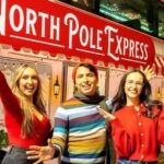 Dallas: Holiday Lights Tour Highland Park - A Closer Look at the Highland Park Lights Tour