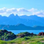 Danzante Island & Snorkel Tour from Villa del Palmar Hotel - Who Will Love This Tour?