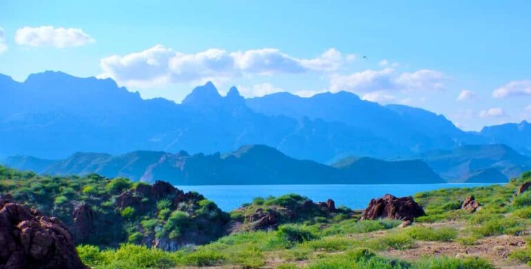 Danzante Island & Snorkel Tour from Villa del Palmar Hotel - Who Will Love This Tour?