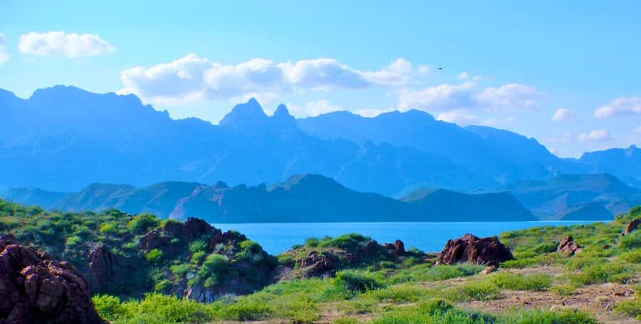 Danzante Island & Snorkel Tour from Villa del Palmar Hotel - Who Will Love This Tour?