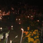 Day of the Dead Night Tour: Oaxacas Cemeteries & Traditions - What Do Travelers Say? Insights from Feedback
