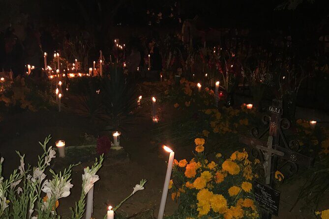 Day of the Dead Night Tour: Oaxacas Cemeteries & Traditions - What Do Travelers Say? Insights from Feedback