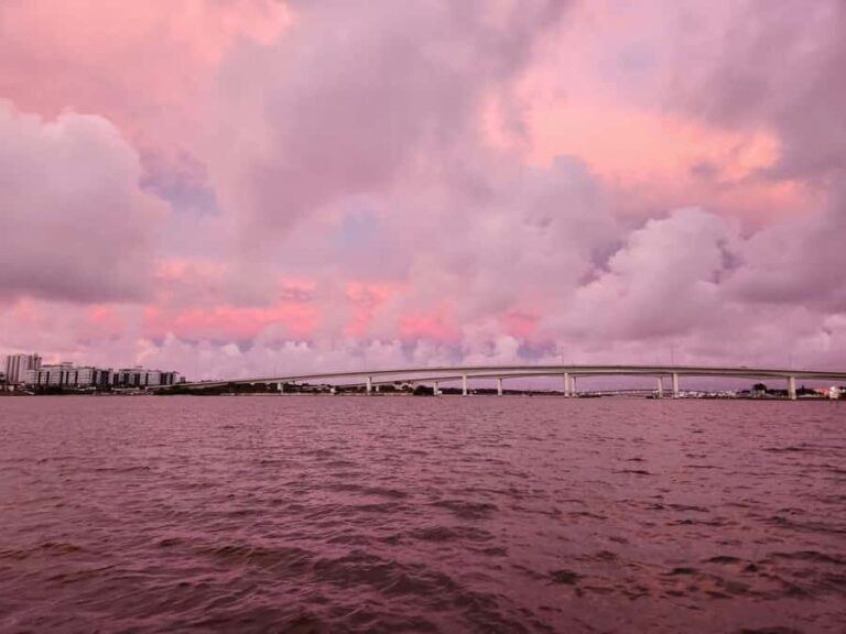 Daytona Beach: Sunset River Cruise with Dolphin Watching - The Details: What You Need to Know