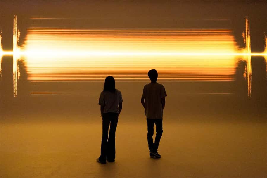 DC: All Creation Sings- Museum of the Bible Exhibition Entry - A Detailed Look at the "All Creation Sings" Experience