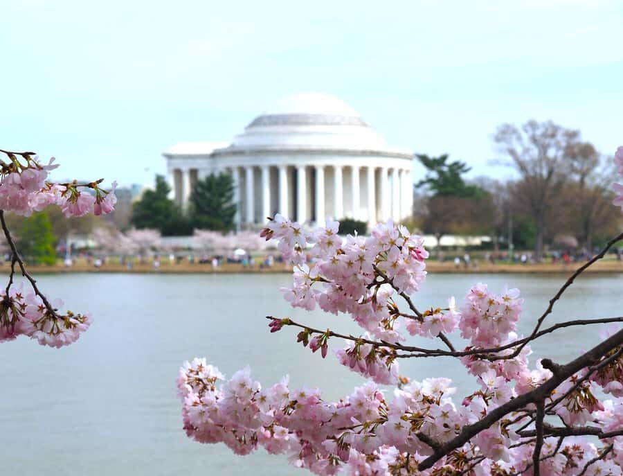DC Cherry Blossom & Monuments Tour with Seasonal Boat Cruise - Why This Tour Offers Great Value