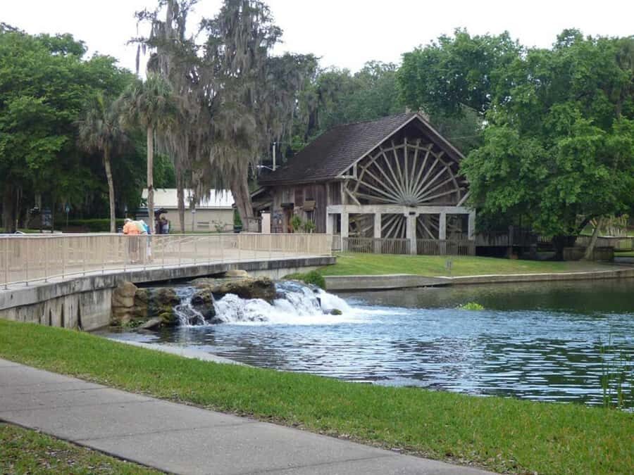 De Leon Springs: State Park Guided Kayak Tour - Final Thoughts