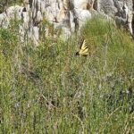 Deep Creek Hot Springs Adventure from Los Angeles - Who Will Love This Tour?