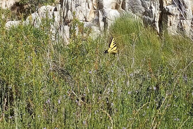 Deep Creek Hot Springs Adventure from Los Angeles - Who Will Love This Tour?