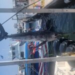 Deep Sea Private Trip on the Deep Obsession - Practical Tips for Future Anglers