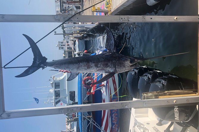 Deep Sea Private Trip on the Deep Obsession - Practical Tips for Future Anglers