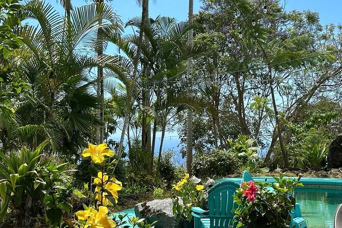 Deluxe Coffee Culture Tour from Berry to Brew in 60 Minutes - Practical Details and Considerations