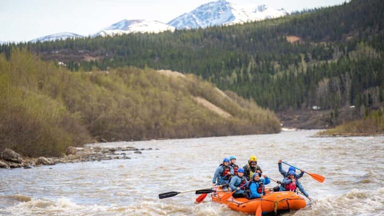Denali, Alaska: Canyon Wave Raft Class III-IV Paddle/Oar - An Authentic White-Water Adventure in Denali