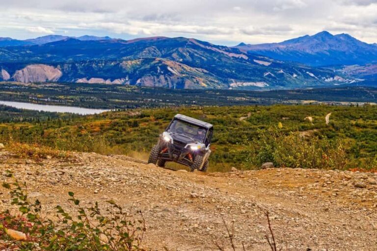 Denali: Explore the Backcountry with an ATV Ride - Who Should Consider This Tour?