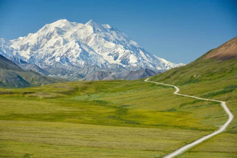 Denali in a Day  Full-Day Sightseeing Tour - The Wildlife and Scenic Experience