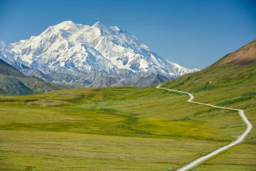 Denali in a Day  Full-Day Sightseeing Tour - The Wildlife and Scenic Experience