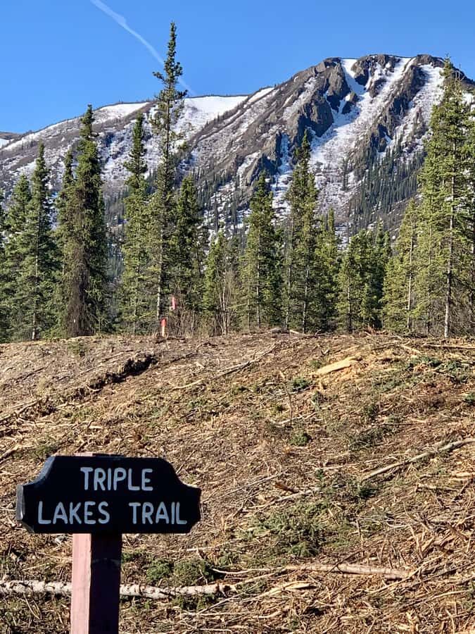 Denali National Park: Triple Lakes Trail Guided Hike - Practical Details and What to Bring
