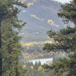 Denali: Nenana River Trail Guided Hike with Pickup - A Deep Dive into the Denali: Nenana River Trail Guided Hike
