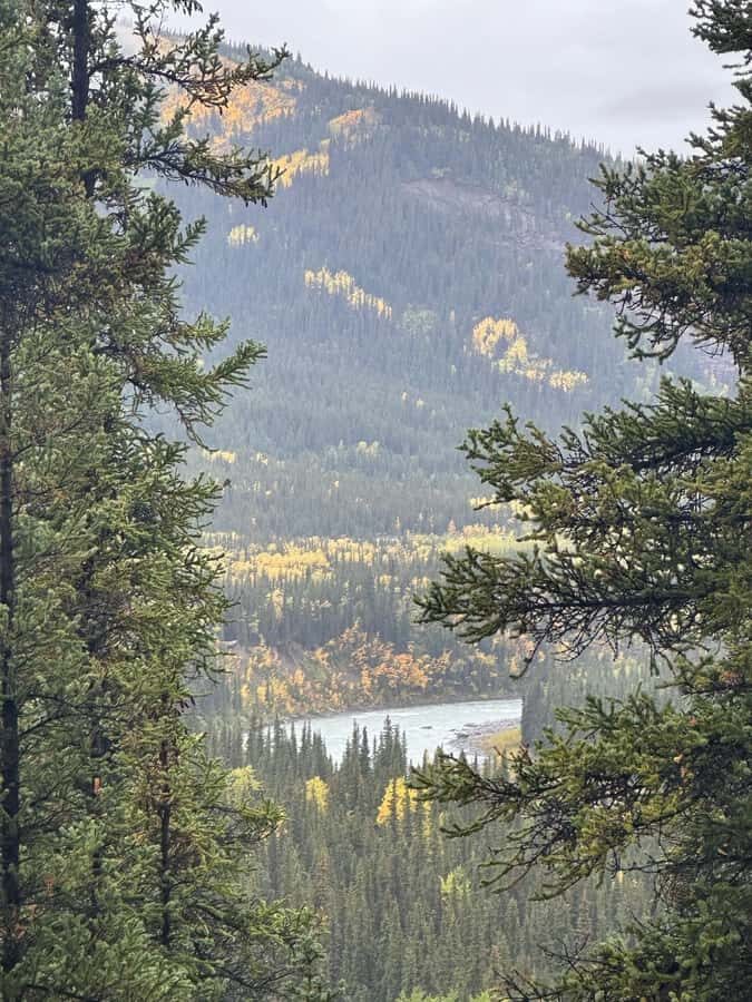 Denali: Nenana River Trail Guided Hike with Pickup - A Deep Dive into the Denali: Nenana River Trail Guided Hike