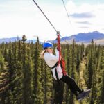 Denali Park Zipline Adventure - Who Should Consider This Tour?